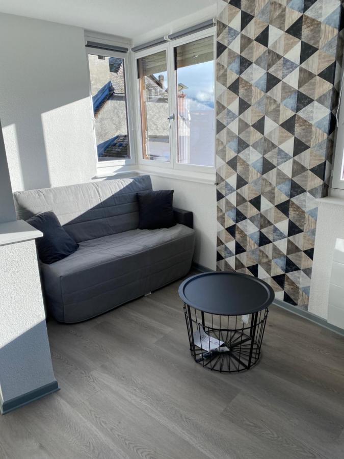 Residence Avec Un T3 Un T2 Et Un Studio En Centre Ville D Argelès-Gazost Zewnętrze zdjęcie